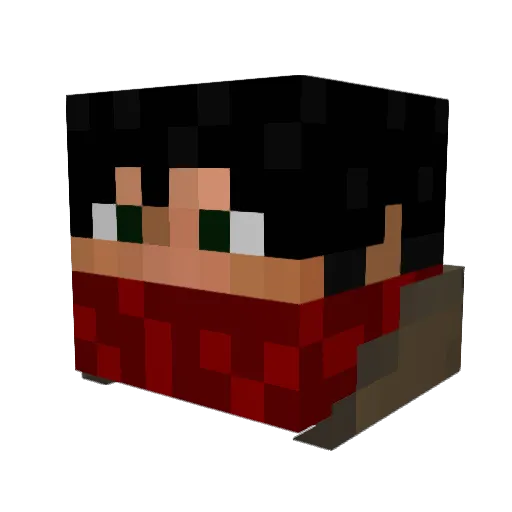 Cauterized Minecraft avatar head, 3D render
