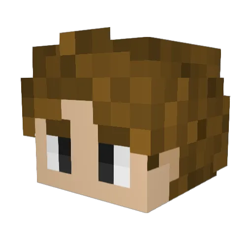 CautiousCash Minecraft avatar head, 3D render
