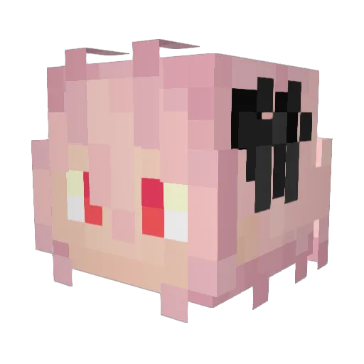 Cauzito Minecraft avatar head, 3D render