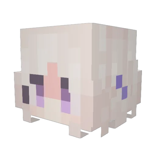 Cavalry1895 Minecraft avatar head, 3D render