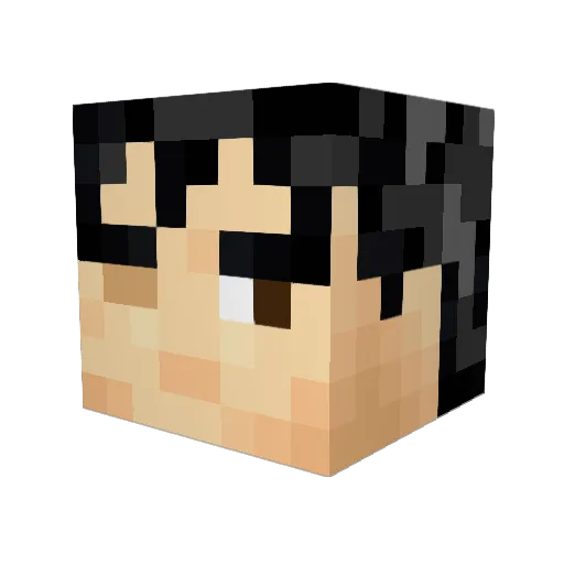 Cavaran Minecraft avatar head, 3D render