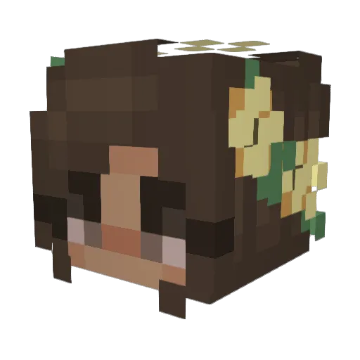 Cavelyn Minecraft avatar head, 3D render