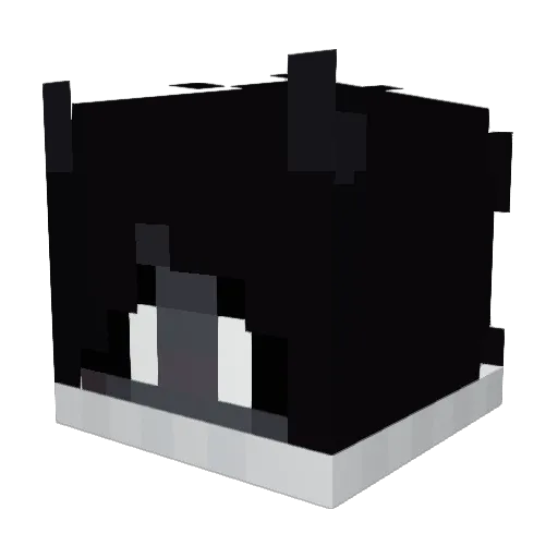 Caviaking2008 Minecraft avatar head, 3D render