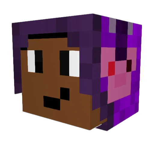 Cawgun Minecraft avatar head, 3D render