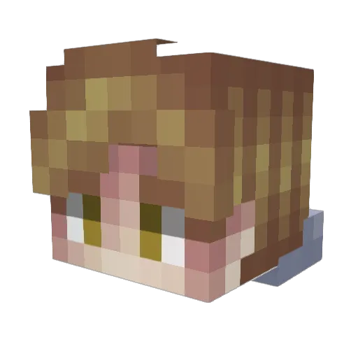 Cawl Minecraft avatar head, 3D render