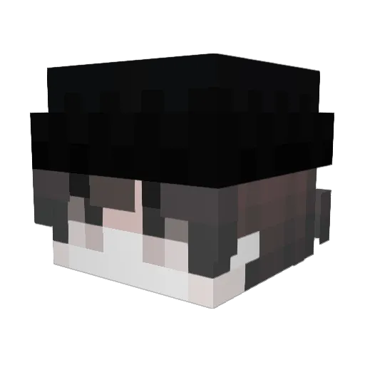 Cawual Minecraft avatar head, 3D render