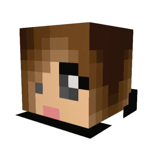 Cay529 Minecraft avatar head, 3D render