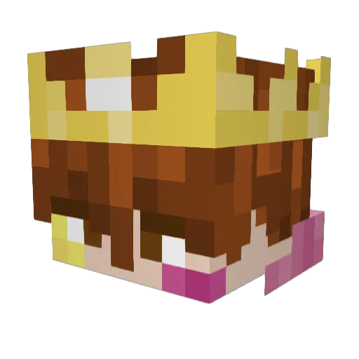 Cayjem Minecraft avatar head, 3D render