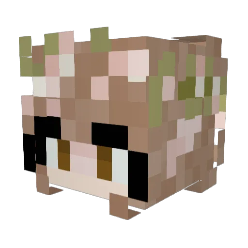 Cayla_18 Minecraft avatar head, 3D render