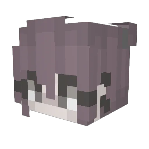 Caylacats123 Minecraft avatar head, 3D render