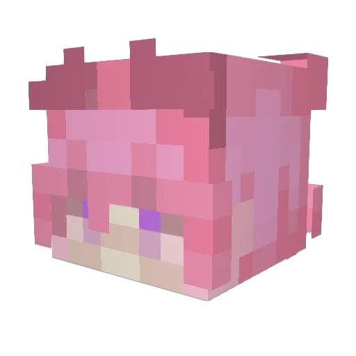 Cayuba Minecraft avatar head, 3D render