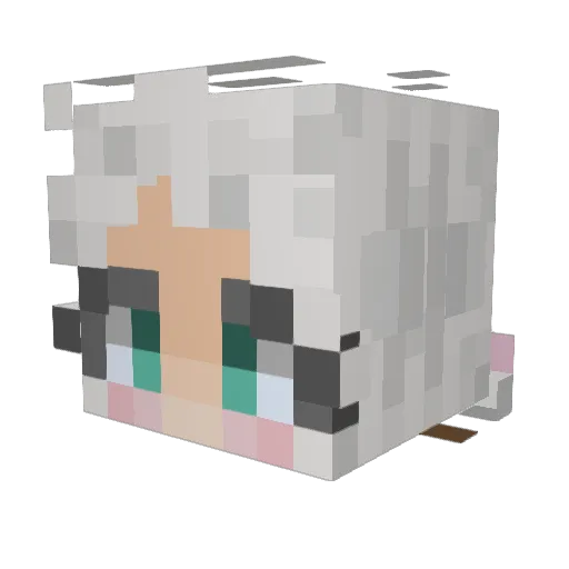 CazBeez Minecraft avatar head, 3D render
