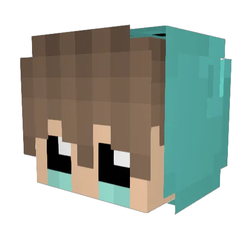 CbEo8 Minecraft avatar head, 3D render