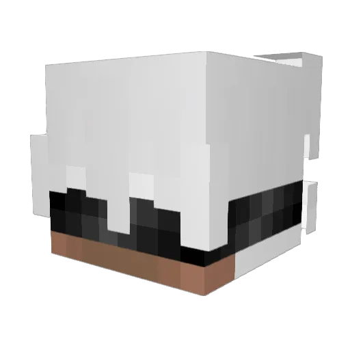 Cbakes123 Minecraft avatar head, 3D render