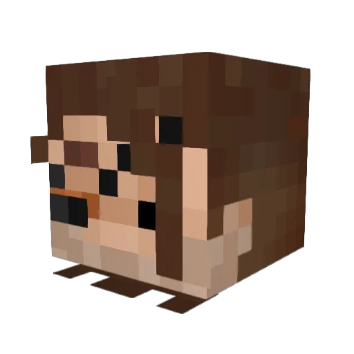 Cbenjy1234 Minecraft avatar head, 3D render