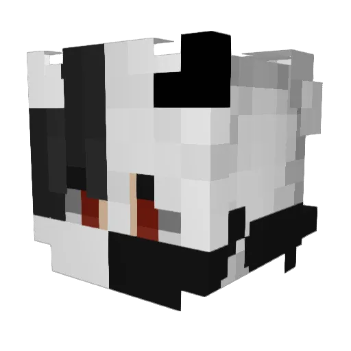 Cbridge14 Minecraft avatar head, 3D render