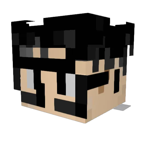 CcHann_ Minecraft avatar head, 3D render