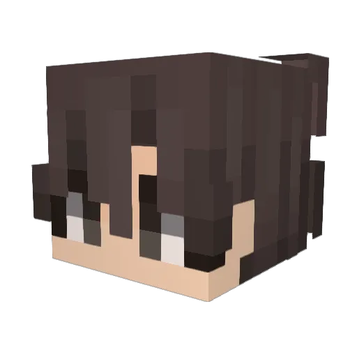 CcampoX Minecraft avatar head, 3D render