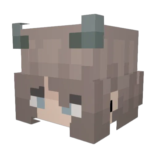 CcocaLoca Minecraft avatar head, 3D render