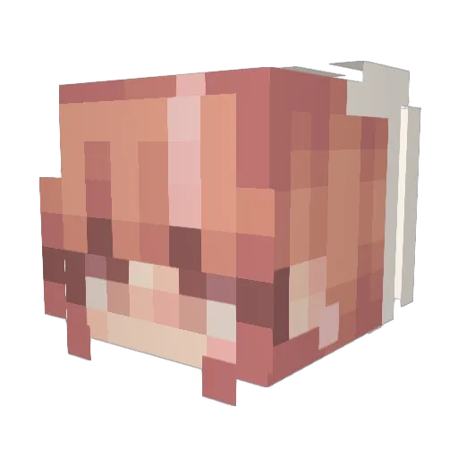 Ccrayonn Minecraft avatar head, 3D render