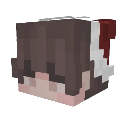 Ccy1 Minecraft avatar head, 3D render