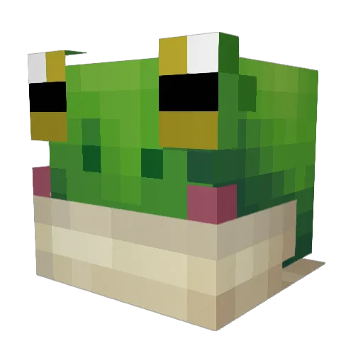 Cdn_Froggy Minecraft avatar head, 3D render