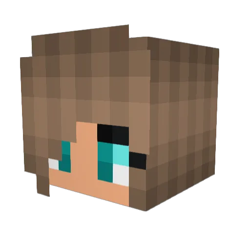 Cdog25 Minecraft avatar head, 3D render