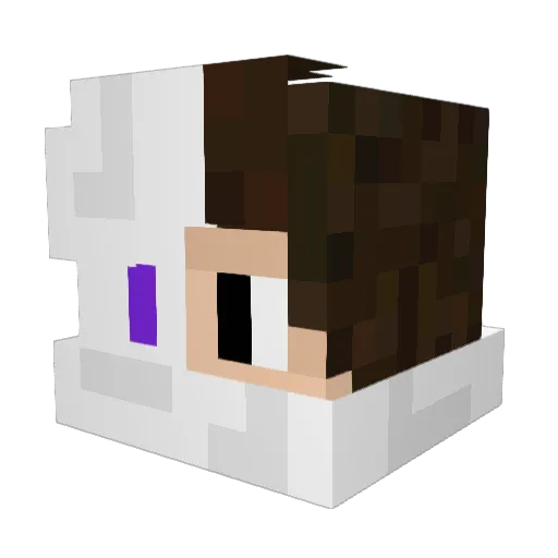 Cdubbs134 Minecraft avatar head, 3D render