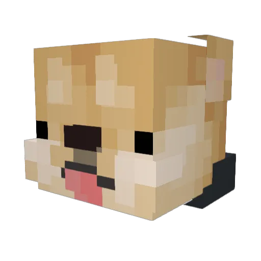 Cdwish Minecraft avatar head, 3D render