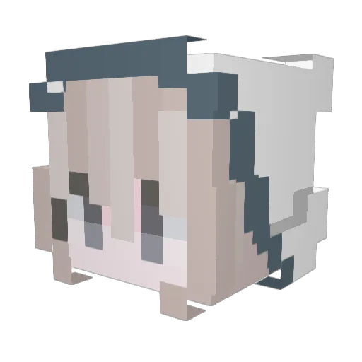 Ce1estina Minecraft avatar head, 3D render