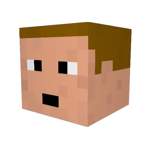 CeNaFan44 Minecraft avatar head, 3D render