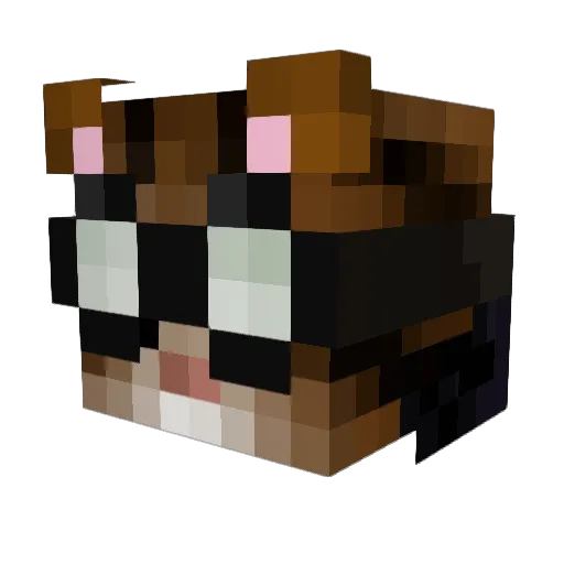 CeaThatKat Minecraft avatar head, 3D render