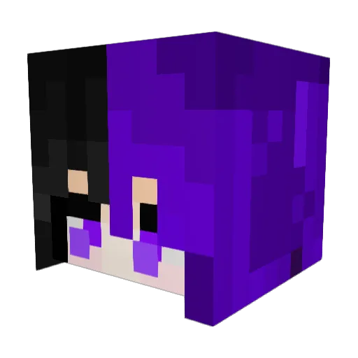 CeaselessShadow Minecraft avatar head, 3D render