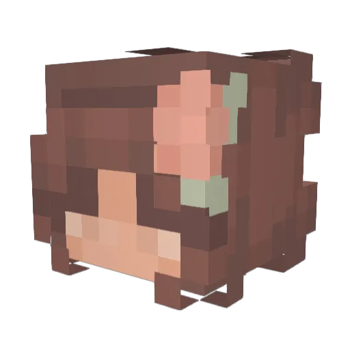 Ceca2005 Minecraft avatar head, 3D render