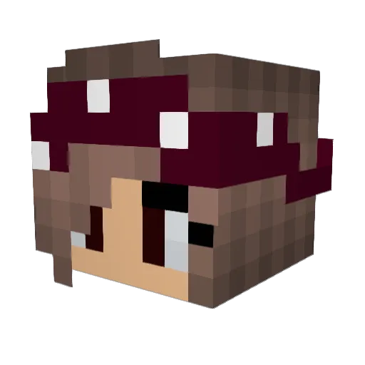 Cece11022 Minecraft avatar head, 3D render
