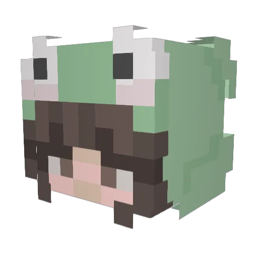 CecePlays333 Minecraft avatar head, 3D render