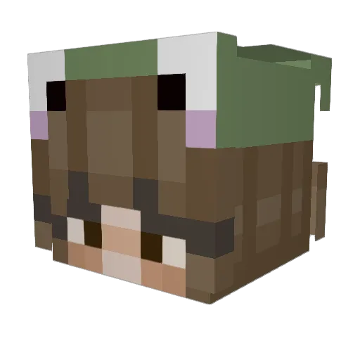 Cece_222 Minecraft avatar head, 3D render