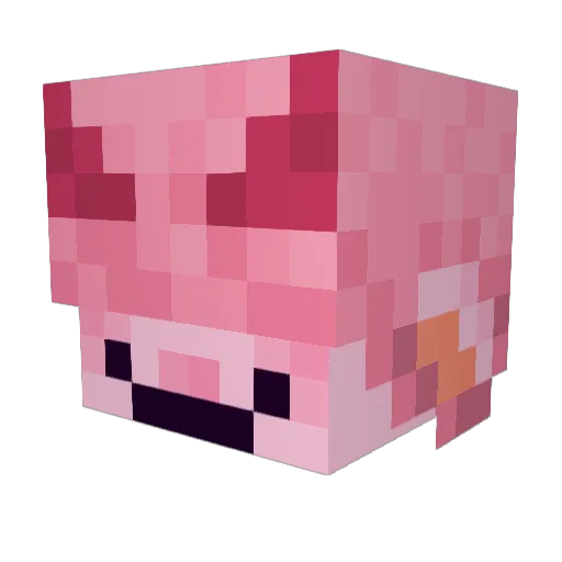 Cecerega Minecraft avatar head, 3D render