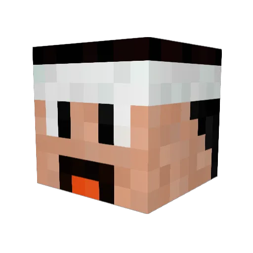 Cecil00002 Minecraft avatar head, 3D render