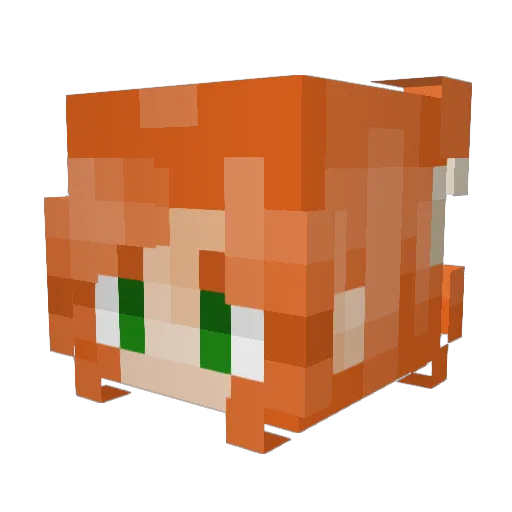 Cecilourd Minecraft avatar head, 3D render