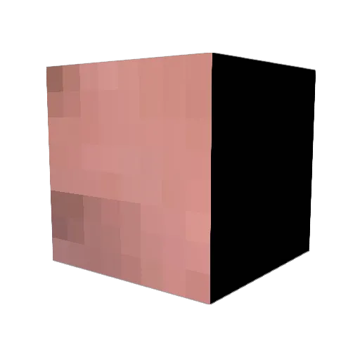 Cecilsosig Minecraft avatar head, 3D render