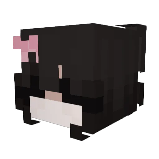 Cecxlia Minecraft avatar head, 3D render