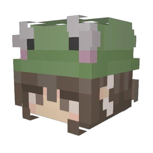 Cedar416 Minecraft avatar head, 3D render