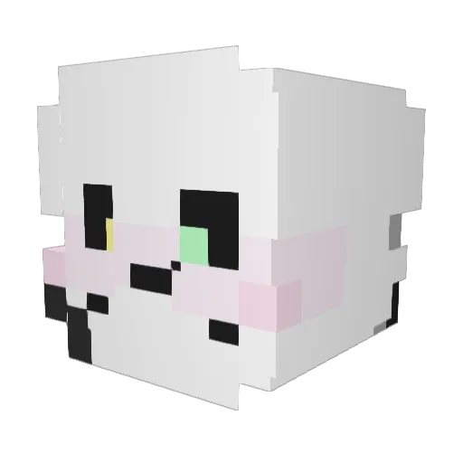 Cedar_WOOF Minecraft avatar head, 3D render