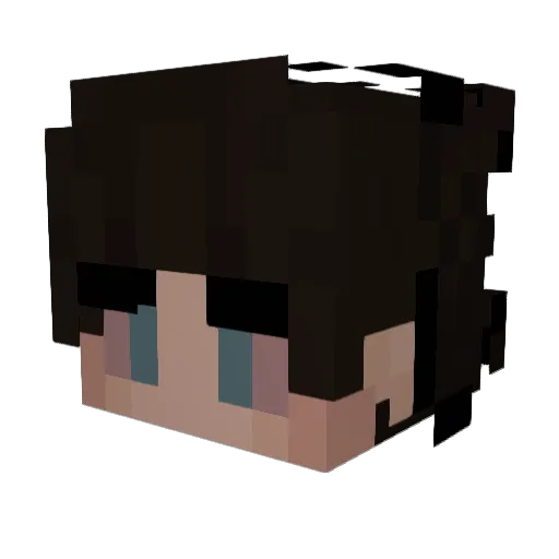 Cedje Minecraft avatar head, 3D render
