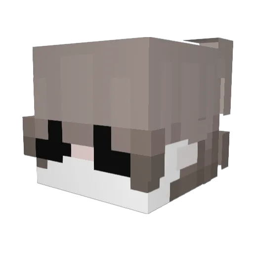CedricDD Minecraft avatar head, 3D render
