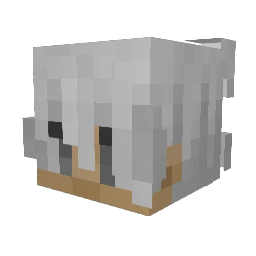 CeeKay69420 Minecraft avatar head, 3D render