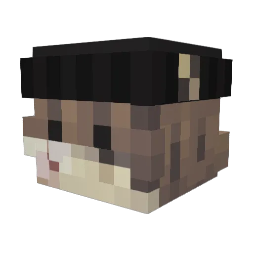 CeeLemon Minecraft avatar head, 3D render