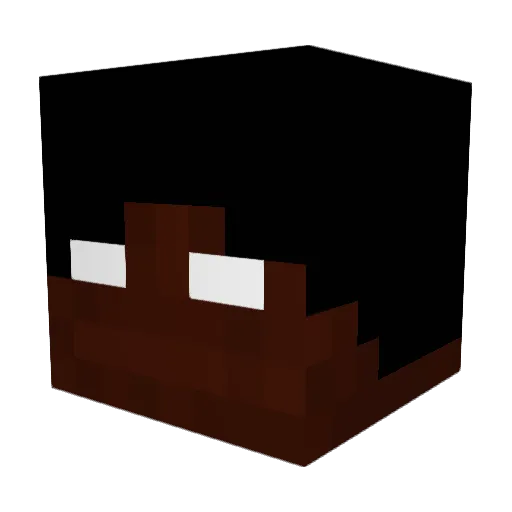 CeeTeeCubed Minecraft avatar head, 3D render
