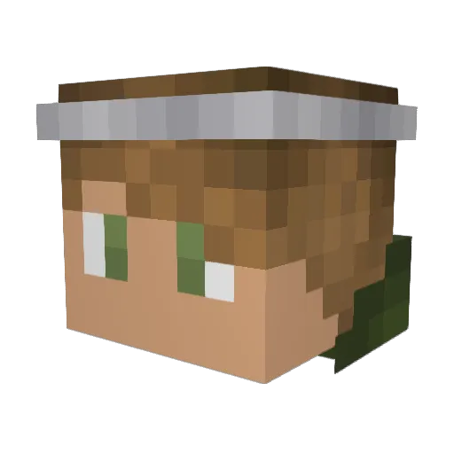 Ceelon Minecraft avatar head, 3D render